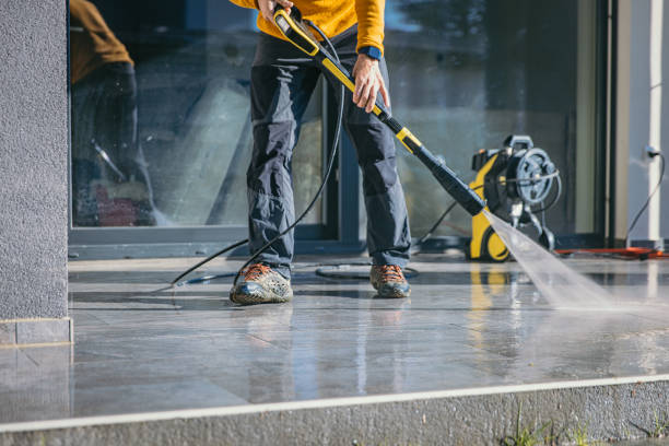 Best Gutter Cleaning  in Lenox, IA